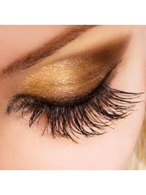 Formação Extensão de Pestanas