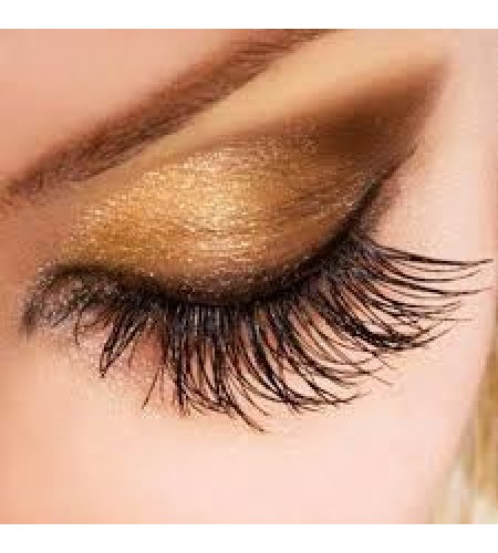 Formação Extensão de Pestanas