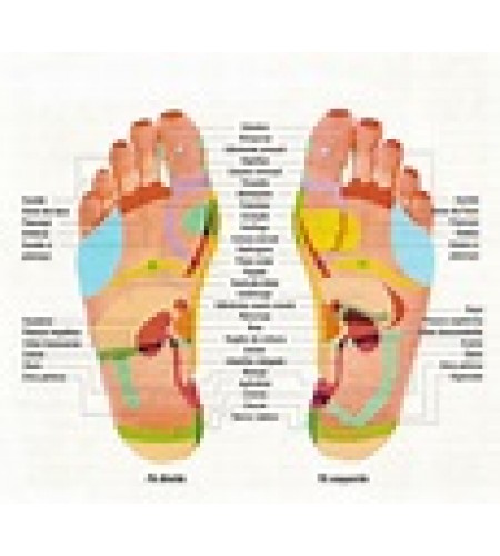 Formação Completa Reflexologia Podal